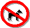 No pets